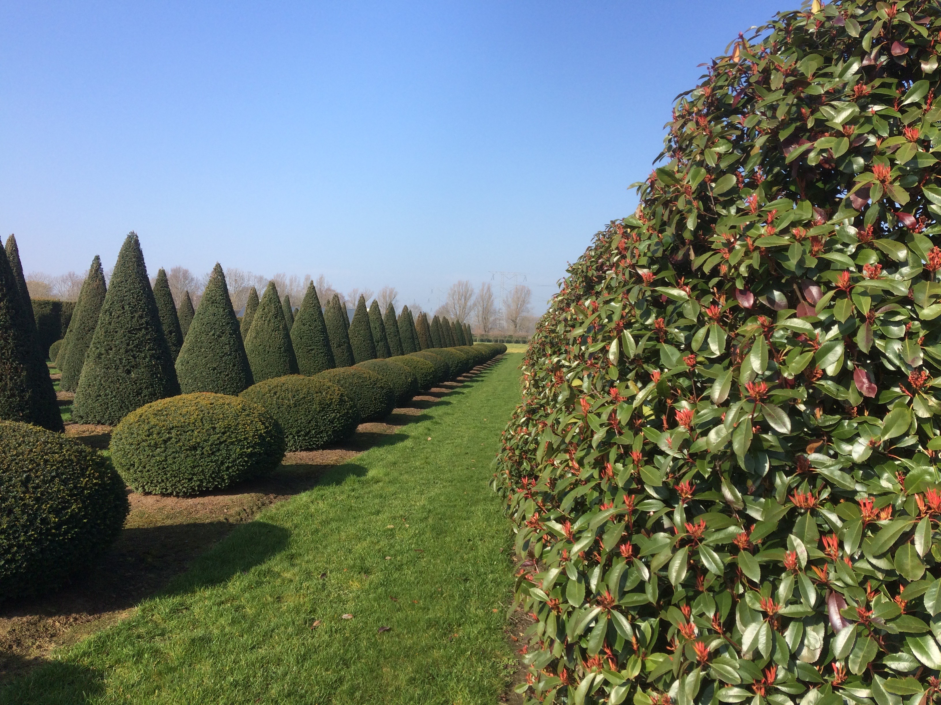 LTO Bomen, Vaste planten & Zomerbloemen